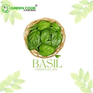 Basil oil