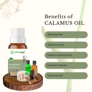 CALAMUS OIL - Image 3