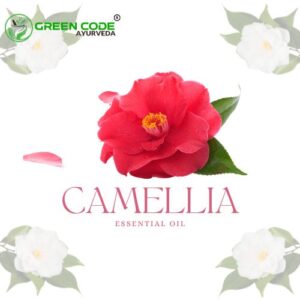 CAMELLIA OIL