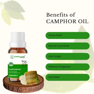 CAMPHOR OIL - Image 3
