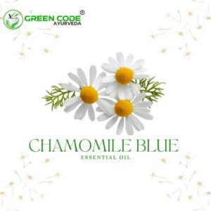 CHAMOMILE BLUE OIL