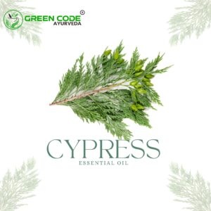CYPRESS OIL