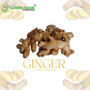 GINGER OIL