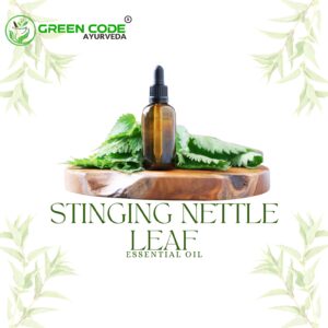 STINGING NETTLE LEAF OIL