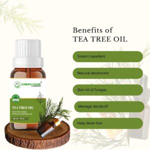 TEA TREE OIL - Image 3